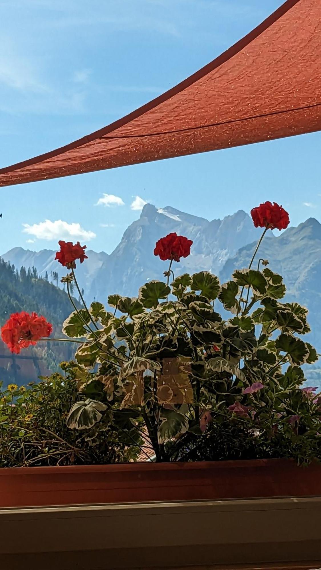 Hotel Ca' Del Bosco Сельва-ди-Кадоре Экстерьер фото