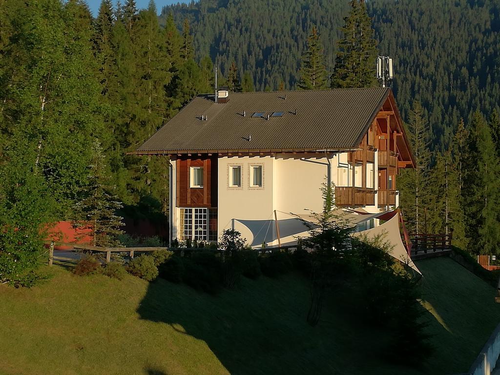 Hotel Ca' Del Bosco Сельва-ди-Кадоре Экстерьер фото
