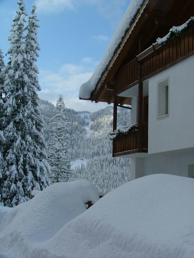 Hotel Ca' Del Bosco Сельва-ди-Кадоре Экстерьер фото